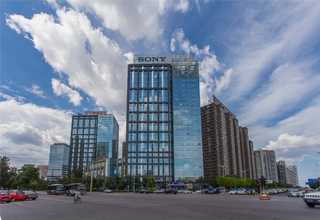 上海冷季型草坪多少钱一平方