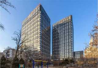 金堂有名的找平石膏厂家直销